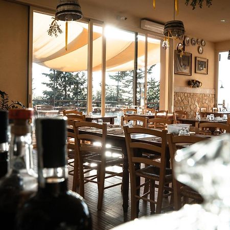 Agriturismo Eco-Bio Belmonte Vacanze Montaione Exteriér fotografie