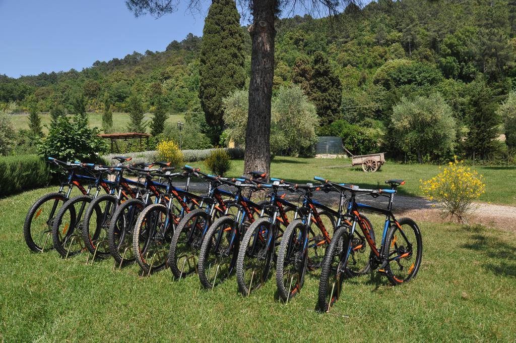 Agriturismo Eco-Bio Belmonte Vacanze Montaione Exteriér fotografie