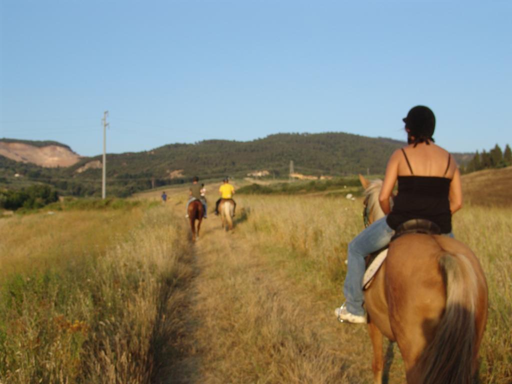 Agriturismo Eco-Bio Belmonte Vacanze Montaione Exteriér fotografie