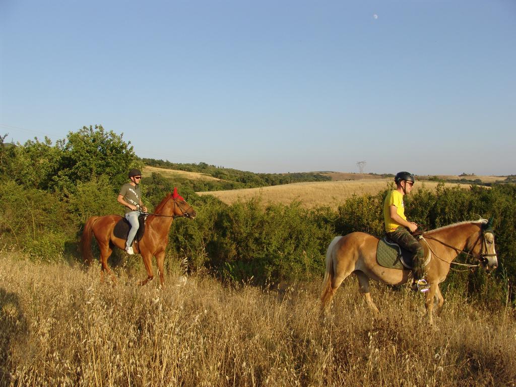 Agriturismo Eco-Bio Belmonte Vacanze Montaione Exteriér fotografie