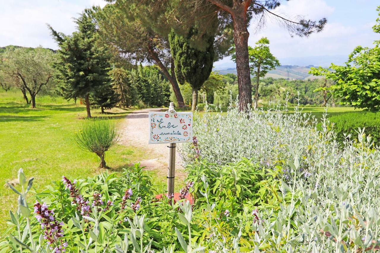 Agriturismo Eco-Bio Belmonte Vacanze Montaione Exteriér fotografie